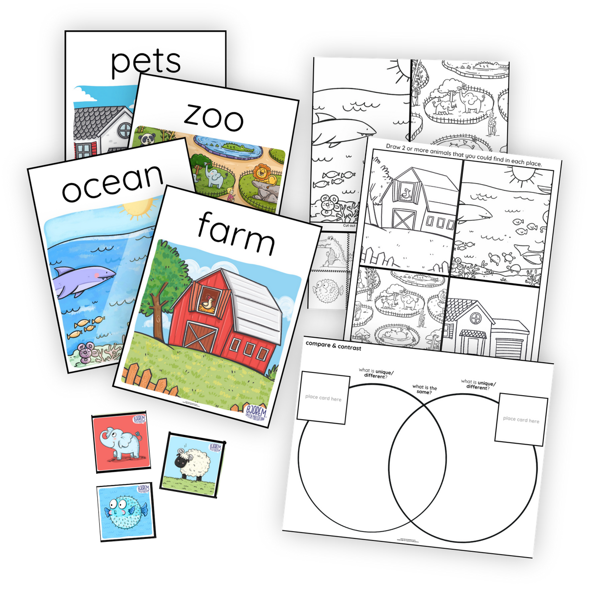 Language | Categories & Sorting | Animals
