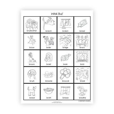 Articulation Practice Sheets | 2 Element Clusters | R Clusters