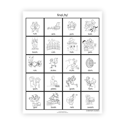 Articulation Practice Sheets | 2 Element Clusters | Final Clusters